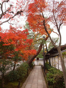 PB242728shuusei.JPG