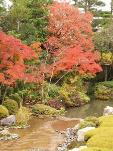 PB242741shuusei.JPG