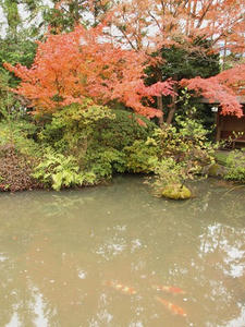 PB242757shuusei.JPG