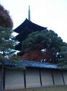 PB242786shuusei.JPG