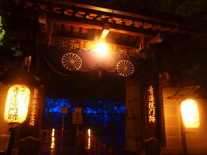 PB242954shuusei.JPG