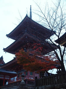 PB252992shuusei.JPG