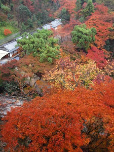 PB253003shuusei.JPG
