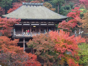 PB253007shuusei.JPG