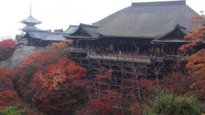 PB253034SHUUSEI.JPG