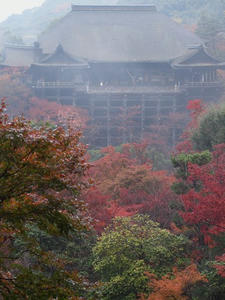 PB253037SHUUSEI.JPG