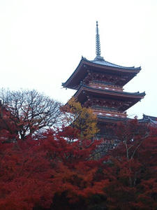 PB253046SHUUSEI.JPG