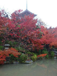 PB253048SHUUSEI.JPG