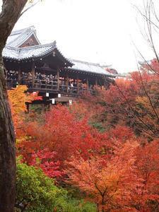 PB253102SHUUSEI.JPG