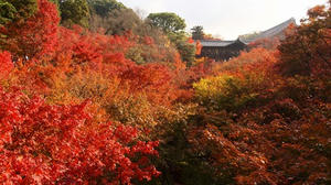 PB253223SHUUSEI.JPG