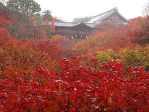 PB253065SHUUSEI.JPG