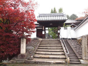 PB253123SHUUSEI.JPG