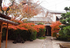 PB253124SHUUSEI.JPG