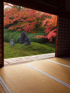 PB253135SHUUSEI.JPG