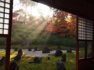PB253153SHUUSEI.JPG
