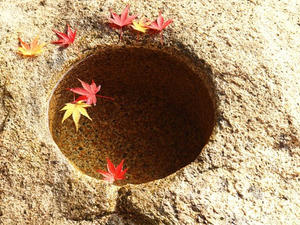 PB253176SHUUSEI.JPG