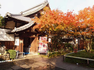 PB253185SHUUSEI.JPG