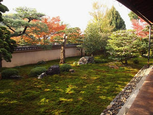 PB253188SHUUSEI.JPG