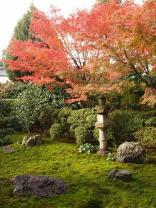 PB253203SHUUSEI.JPG