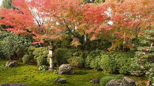 PB253205SHUUSEI.JPG