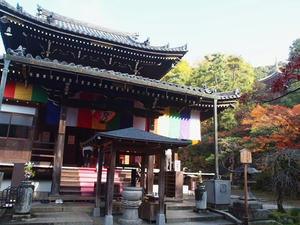 PB253242SHUUSEI.JPG