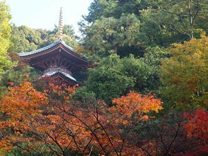 PB253245SHUUSEI.JPG