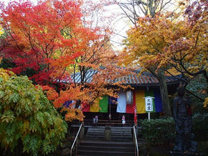 PB253247SHUUSEI.JPG