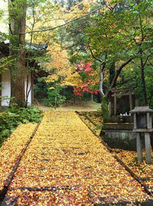PB253251SHUUSEI.JPG
