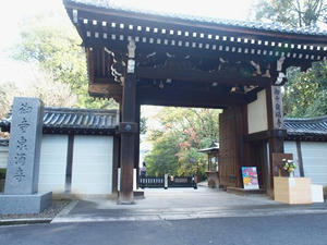 PB253256SHUUSEI.JPG
