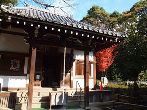 PB253258SHUUSEI.JPG