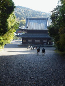 PB253263SHUUSEI.JPG
