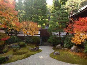PB253282SHUUSEI.JPG