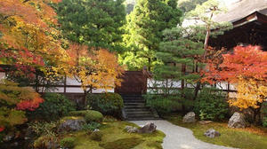 PB253292SHUUSEI.JPG
