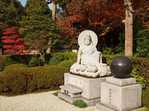 PB253307SHUUSEI.JPG
