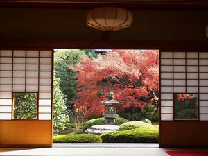 PB253309SHUUSEI.JPG