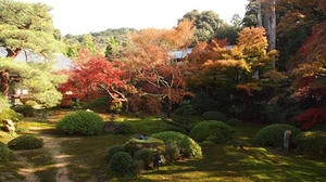 PB253318SHUUSEI.JPG