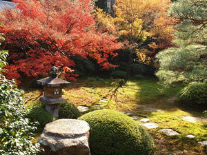 PB253322SHUUSEI.JPG
