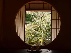 PB253331SHUUSEI.JPG