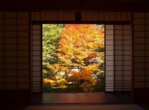 PB253333SHUUSEI.JPG