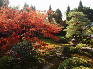 PB253339SHUUSEI.JPG