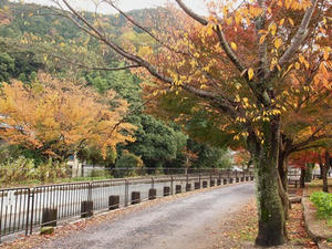 PB253362SHUUSEI.JPG