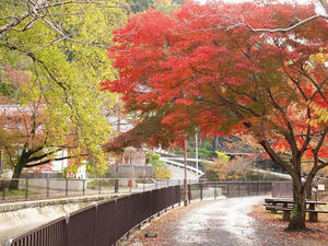 PB253364SHUUSEI.JPG