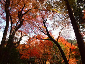 PB253382SHUUSEI.JPG