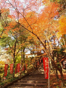 PB253385SHUUSEI.JPG