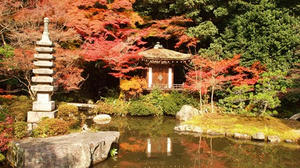 PB253436SHUUSEI.JPG