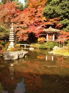 PB253428SHUUSEI.JPG