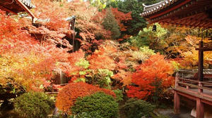PB253419SHUUSEI.JPG