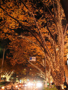 PC014648shuusei.jpg
