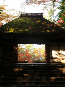 PB253500shuusei.jpg
