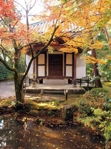 PB253505shuusei.jpg